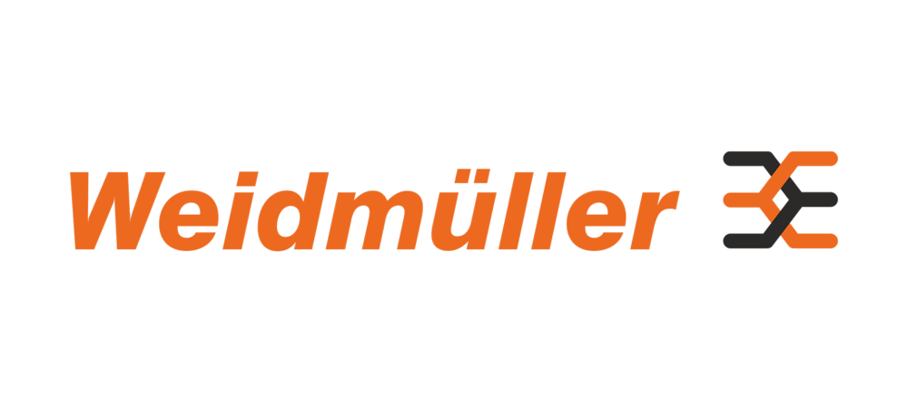 SAP Rollout project for Weidmüller Russia